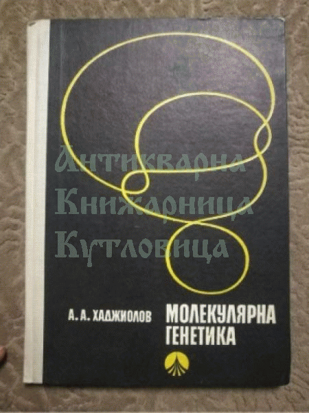 антикварна книга Бен Хуръ/ Бен Хур