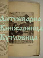 Родопите като селищна област и планинска система
