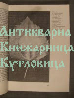 Растенията - гениалните инженери на природата