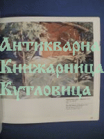 Никола Танев